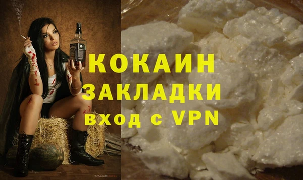 МДПВ Михайлов